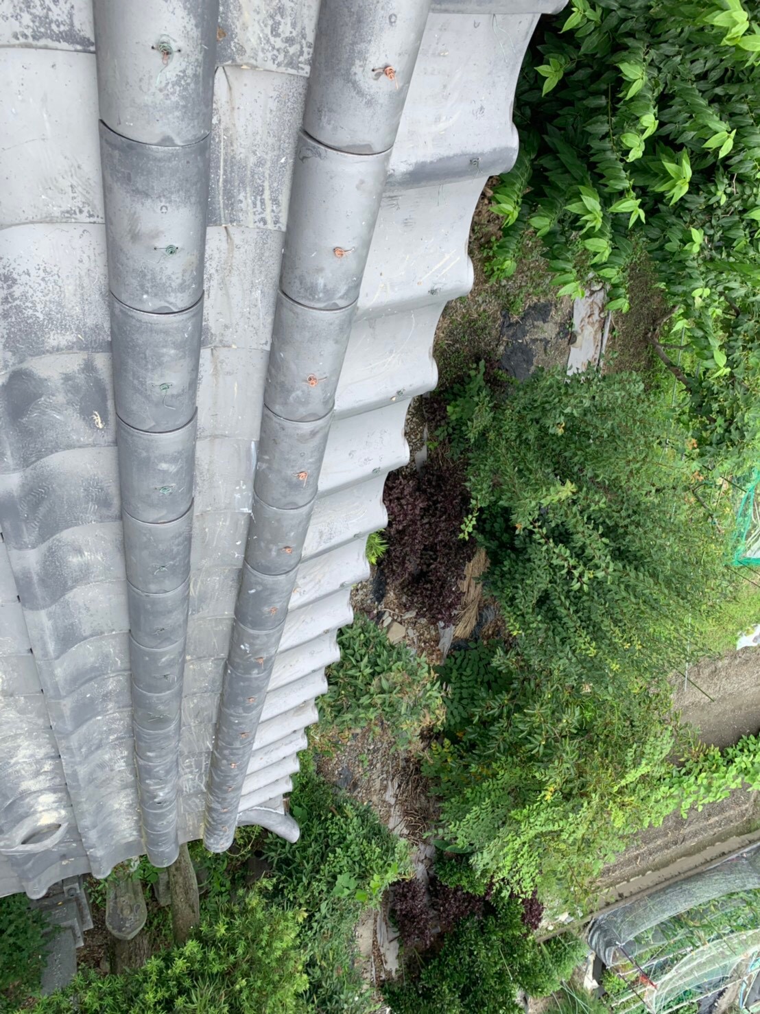 岐阜県揖斐郡池田町六之井Z様邸 ：リフォーム後画像02