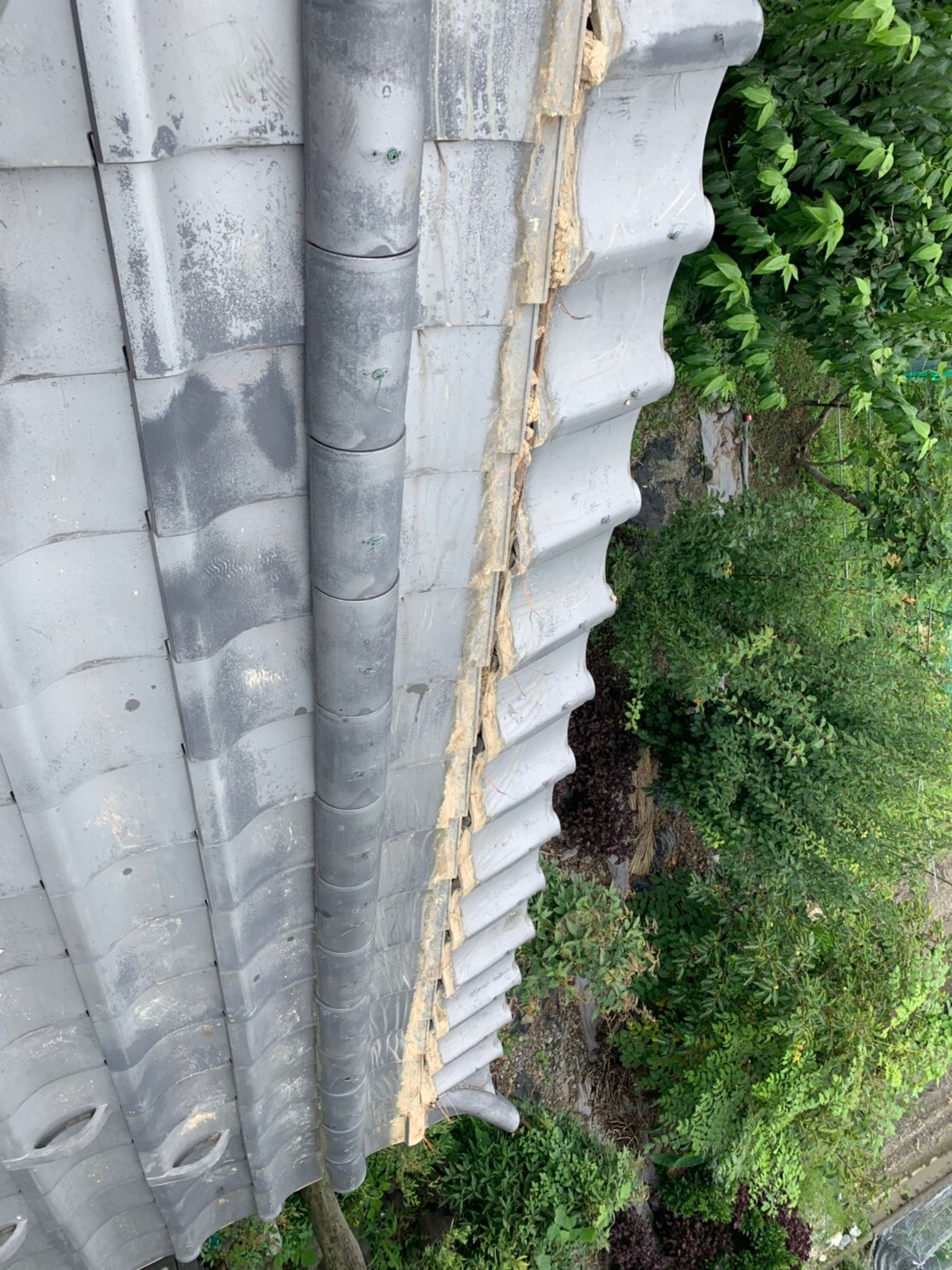 岐阜県揖斐郡池田町六之井Z様邸：リフォーム中画像04